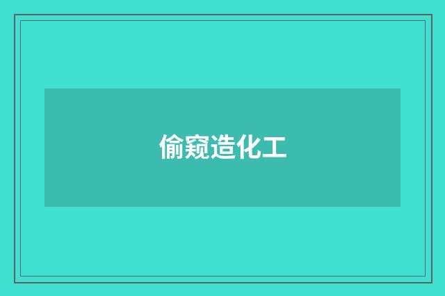 偷窥造化工