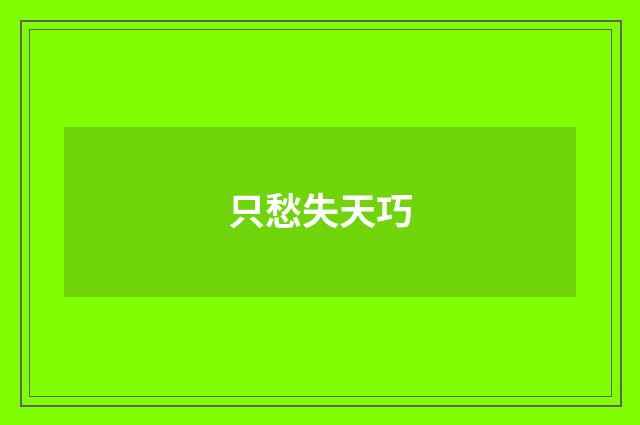只愁失天巧