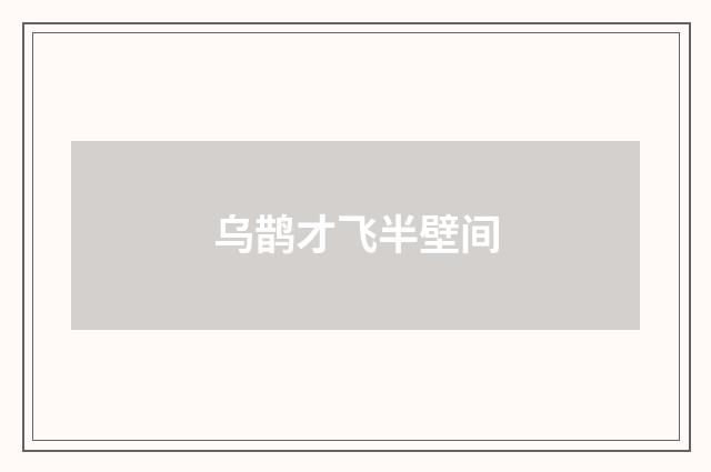 乌鹊才飞半壁间