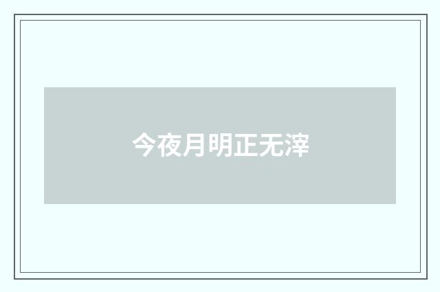 今夜月明正无滓