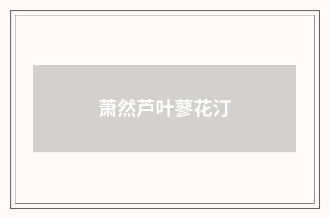 萧然芦叶蓼花汀