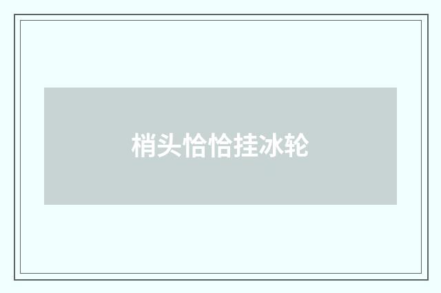 梢头恰恰挂冰轮