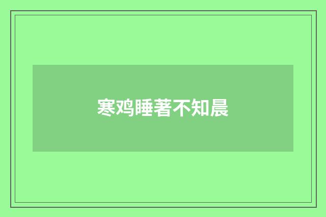 寒鸡睡著不知晨