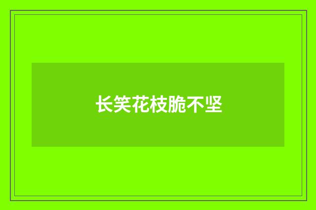 长笑花枝脆不坚