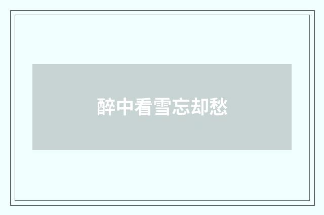 醉中看雪忘却愁