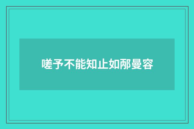 嗟予不能知止如邴曼容