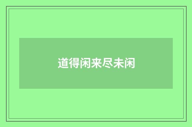 道得闲来尽未闲