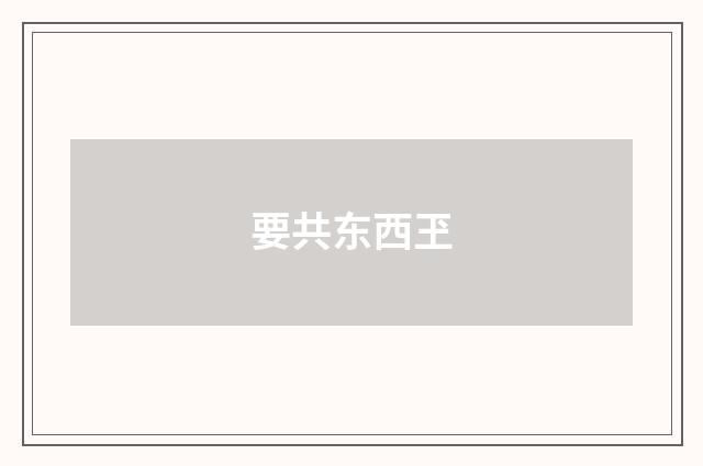 要共东西玊