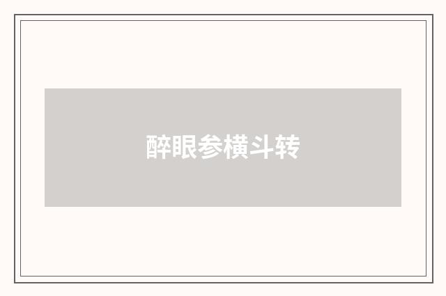 醉眼参横斗转