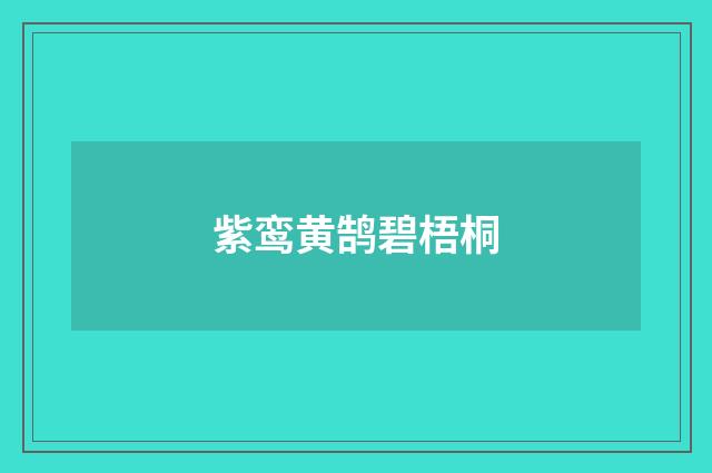 紫鸾黄鹄碧梧桐