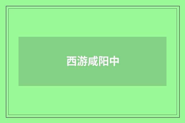 西游咸阳中