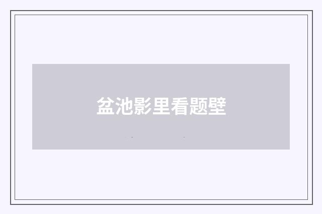 盆池影里看题壁