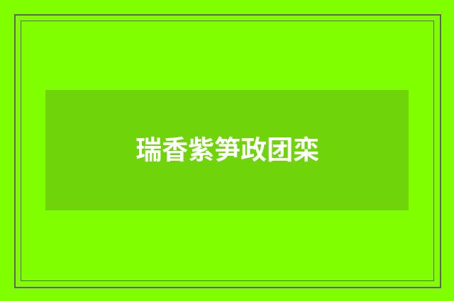 瑞香紫笋政团栾