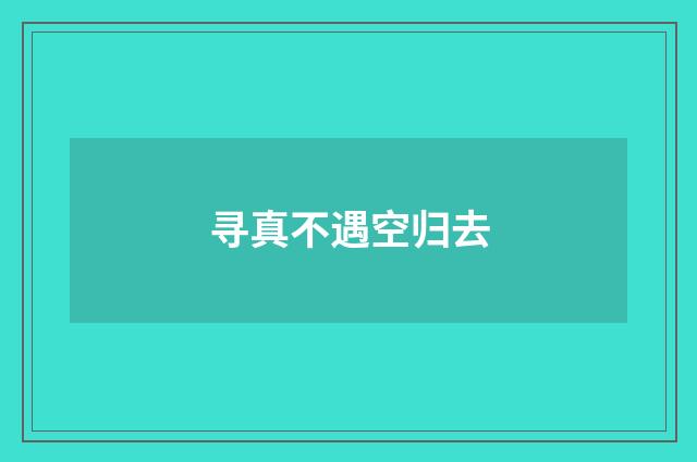 寻真不遇空归去
