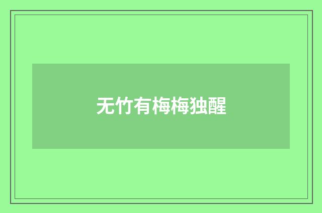 无竹有梅梅独醒