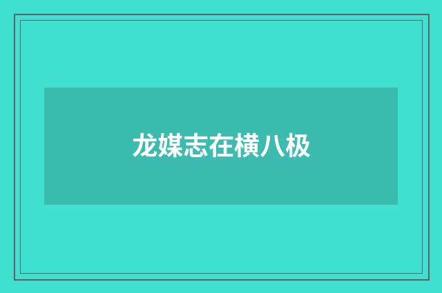 龙媒志在横八极