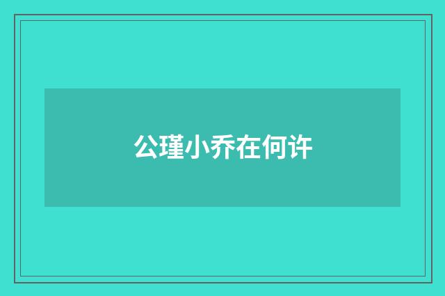 公瑾小乔在何许