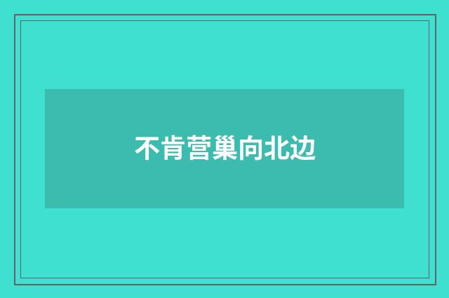 不肯营巢向北边