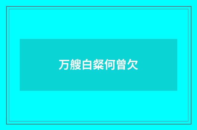 万艘白粲何曾欠
