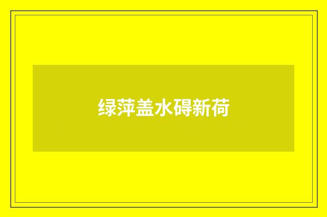 绿萍盖水碍新荷
