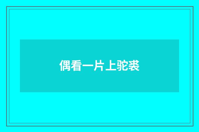 偶看一片上驼裘