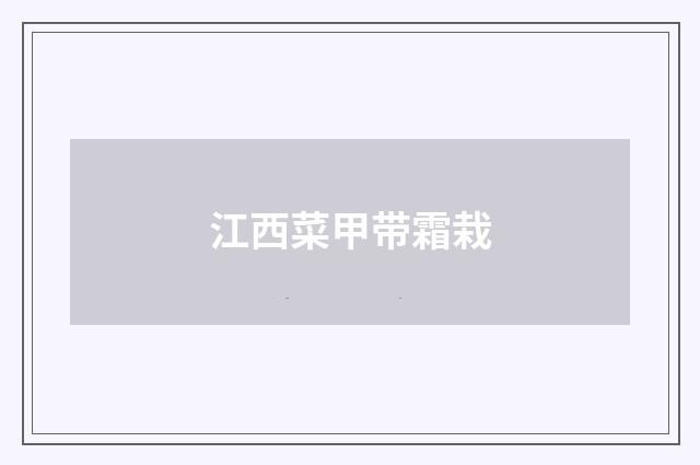 江西菜甲带霜栽