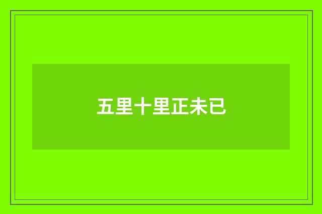 五里十里正未已