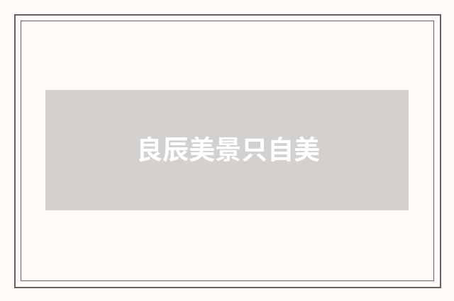 良辰美景只自美