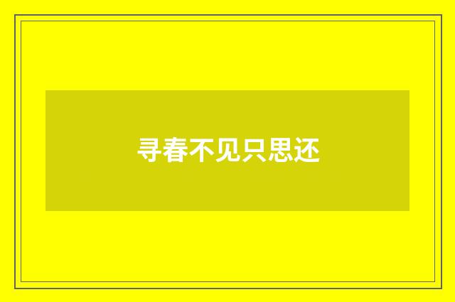 寻春不见只思还