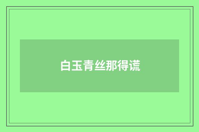 白玉青丝那得谎