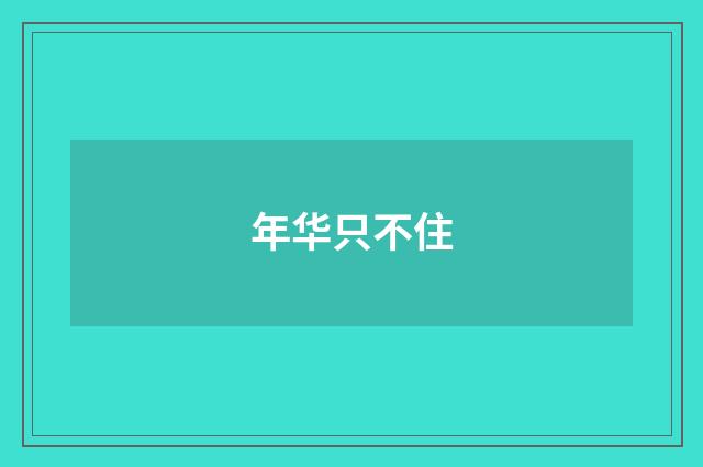年华只不住