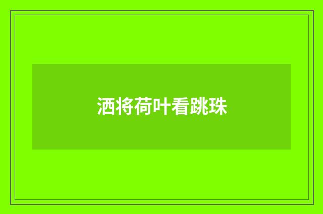洒将荷叶看跳珠