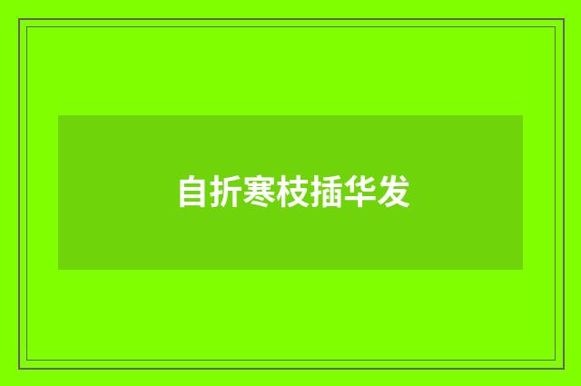 自折寒枝插华发