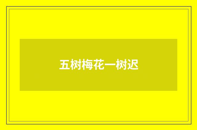 五树梅花一树迟