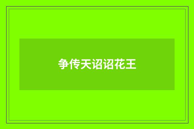 争传天诏诏花王