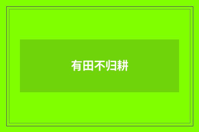 有田不归耕