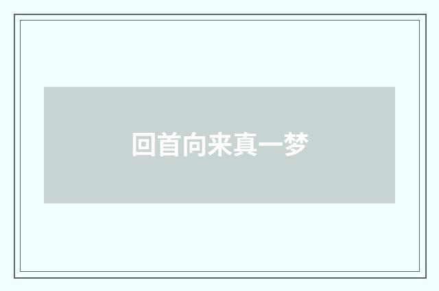 回首向来真一梦