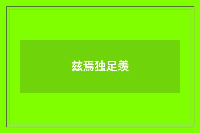 兹焉独足羡
