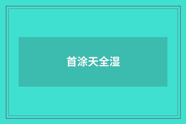 首涂天全湿