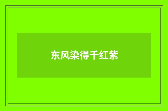 东风染得千红紫