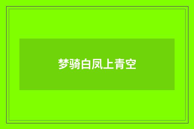 梦骑白凤上青空