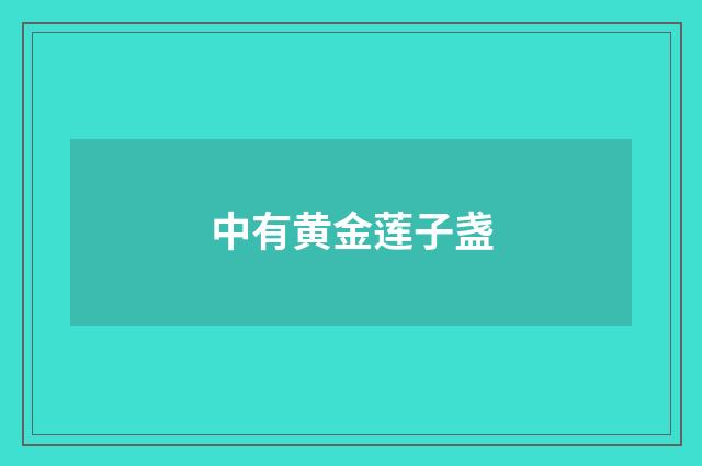中有黄金莲子盏