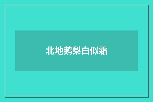 北地鹅梨白似霜