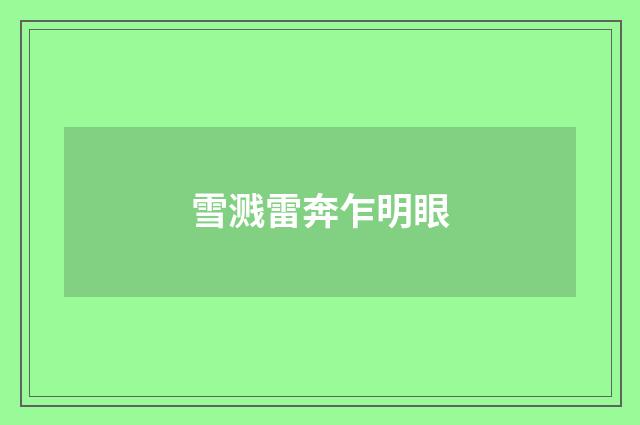 雪溅雷奔乍明眼