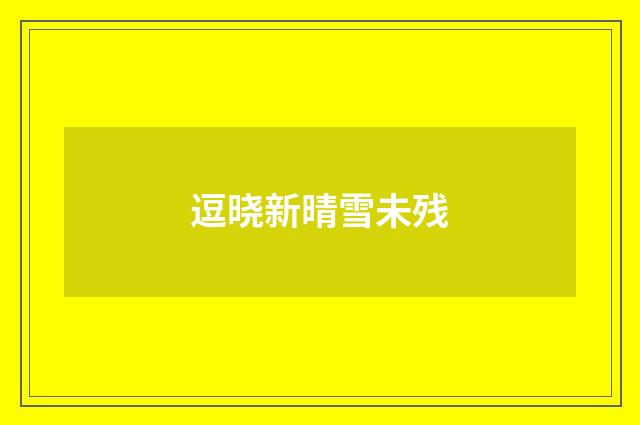 逗晓新晴雪未残