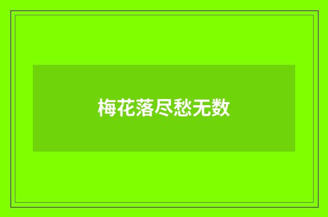 梅花落尽愁无数