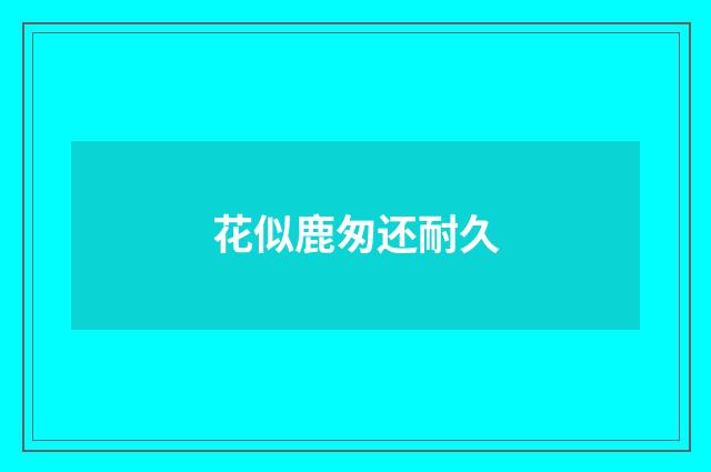 花似鹿匆还耐久