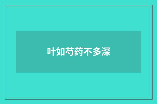 叶如芍药不多深