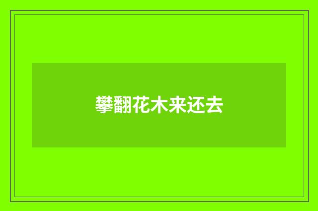 攀翻花木来还去