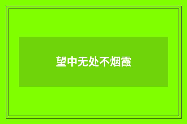 望中无处不烟霞